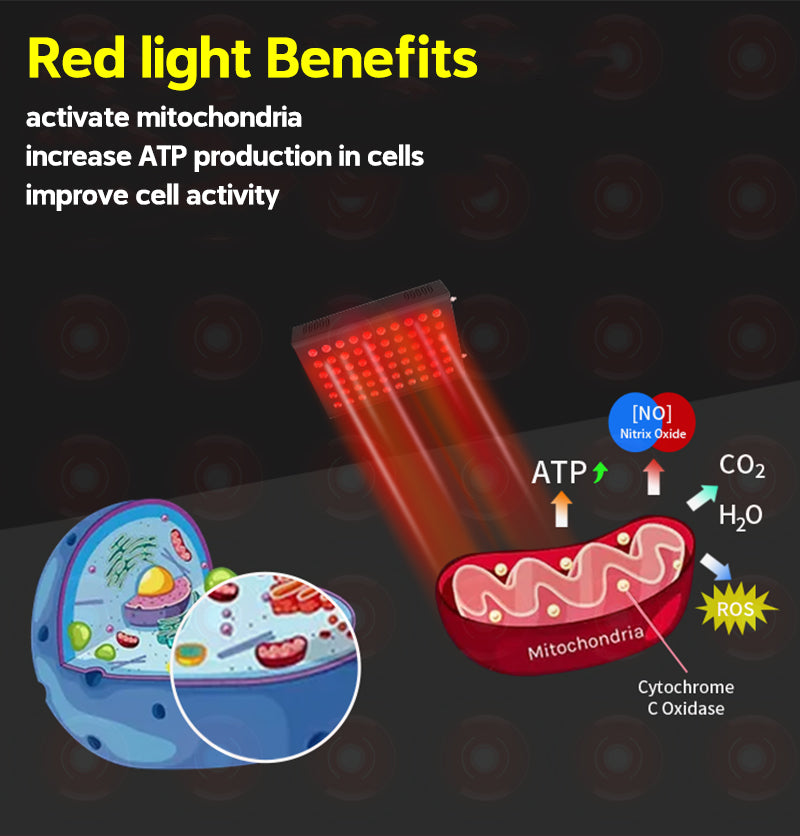Image showing ESPRO1500 Red Light Benefits. 